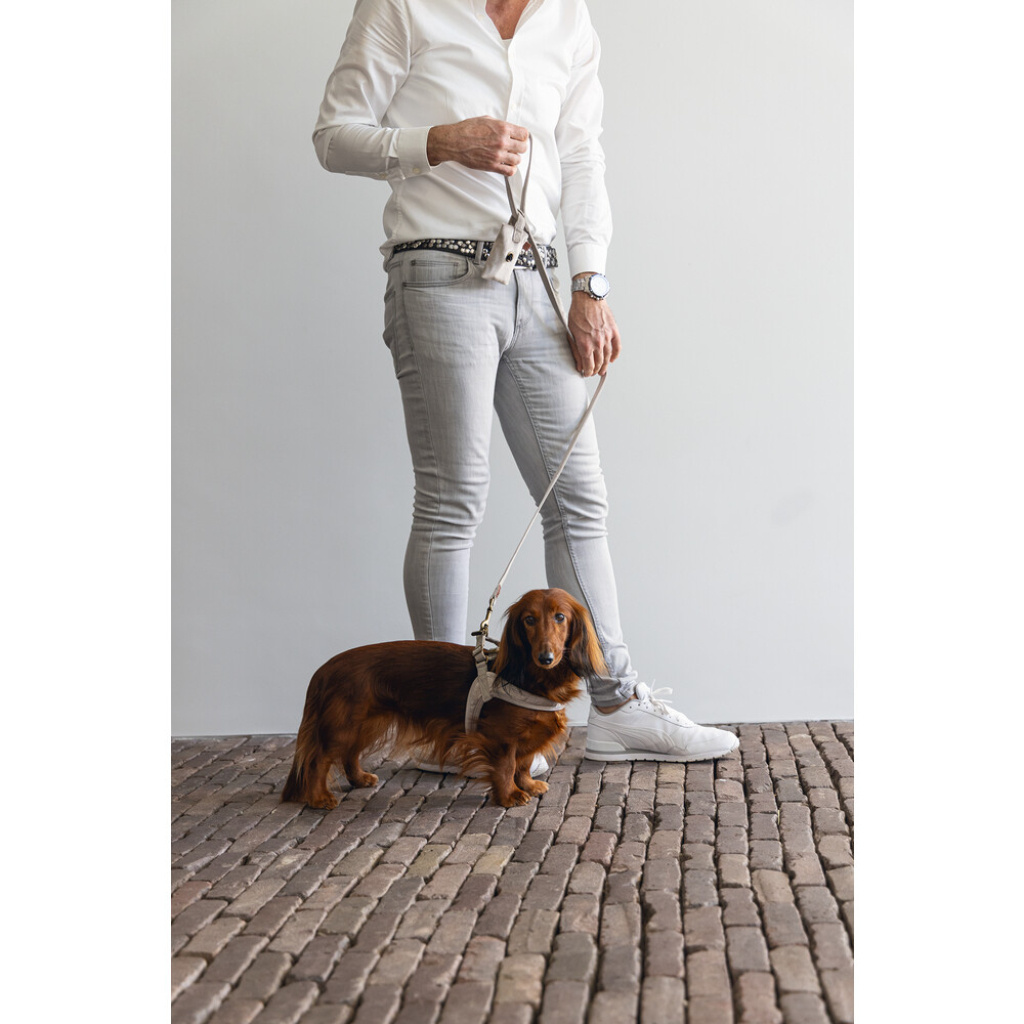 Beeztees Dbl Lotte Köpek Göğüs Tasması 52cm (Gri)