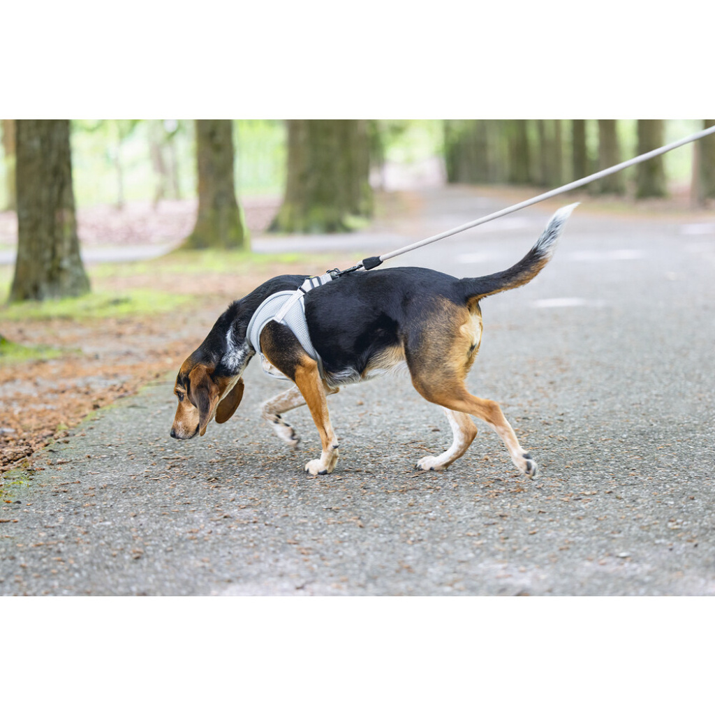 Beeztees Neopren Köpek Göğüs Tasması 41-46cm (Gri)