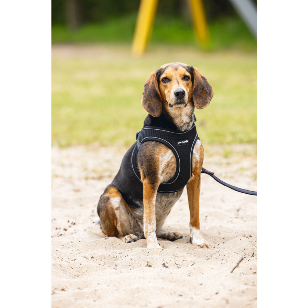 Beeztees Neopren Köpek Göğüs Tasması 41-46cm (Siyah)