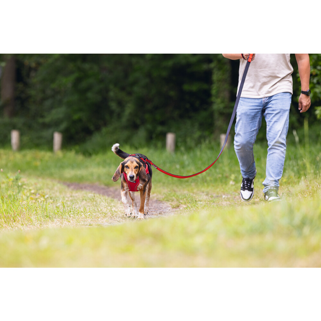 Beeztees Neopren Köpek Göğüs Tasması 41-46cm (Kırmızı)