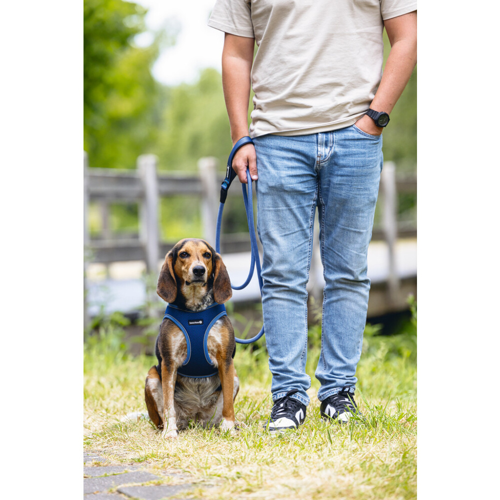 Beeztees Neopren Köpek Göğüs Tasması 41-46cm (Mavi)