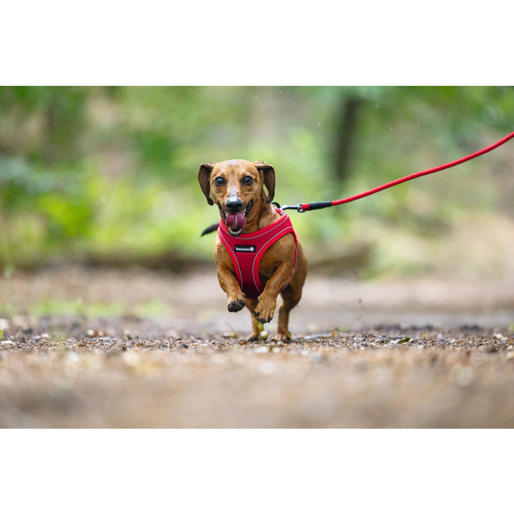 Beeztees Neopren Köpek Göğüs Tasması 38-44cm (Kırmızı)