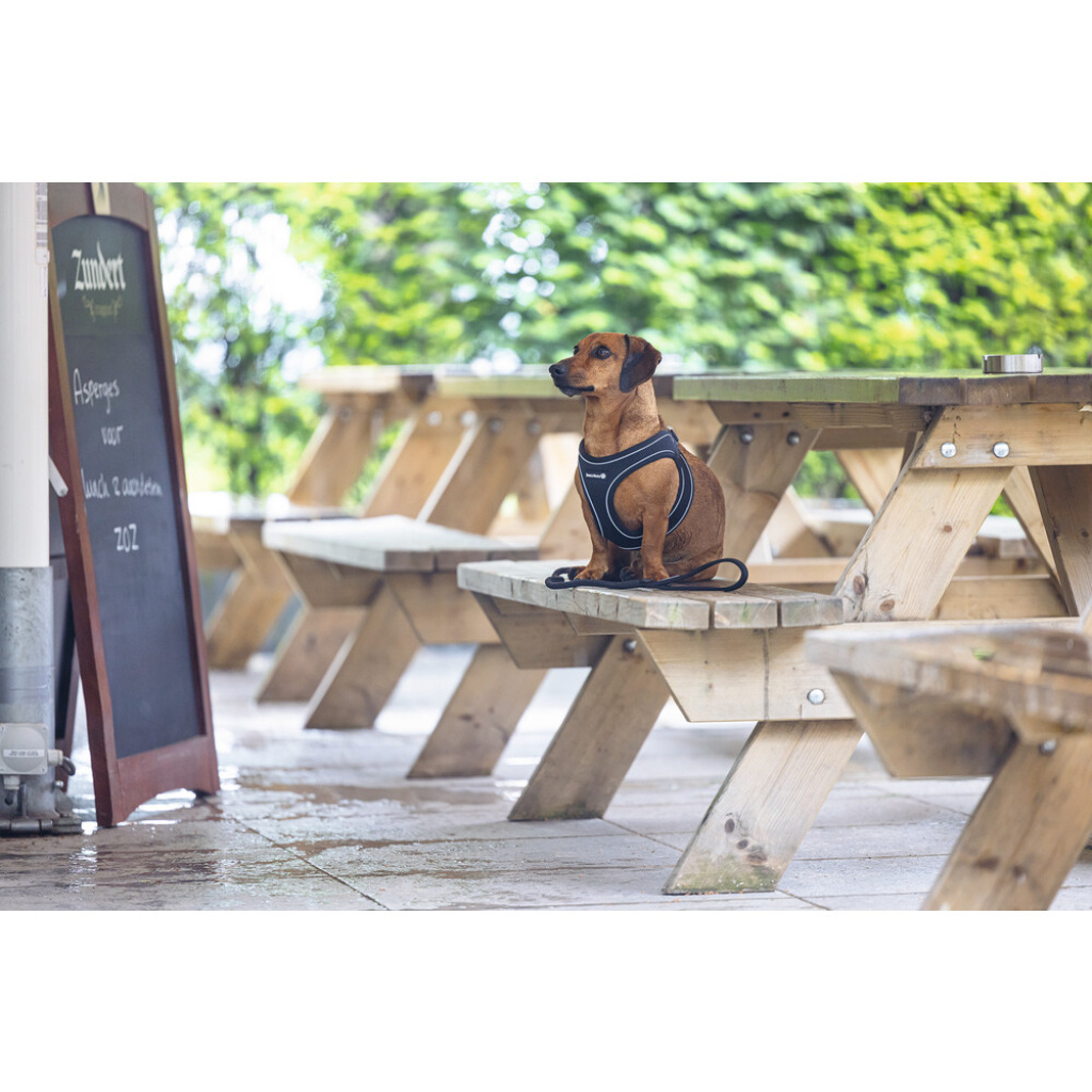 Beeztees Parinca Neopren Köpek Göğüs Tasması 30-35cm (Siyah)