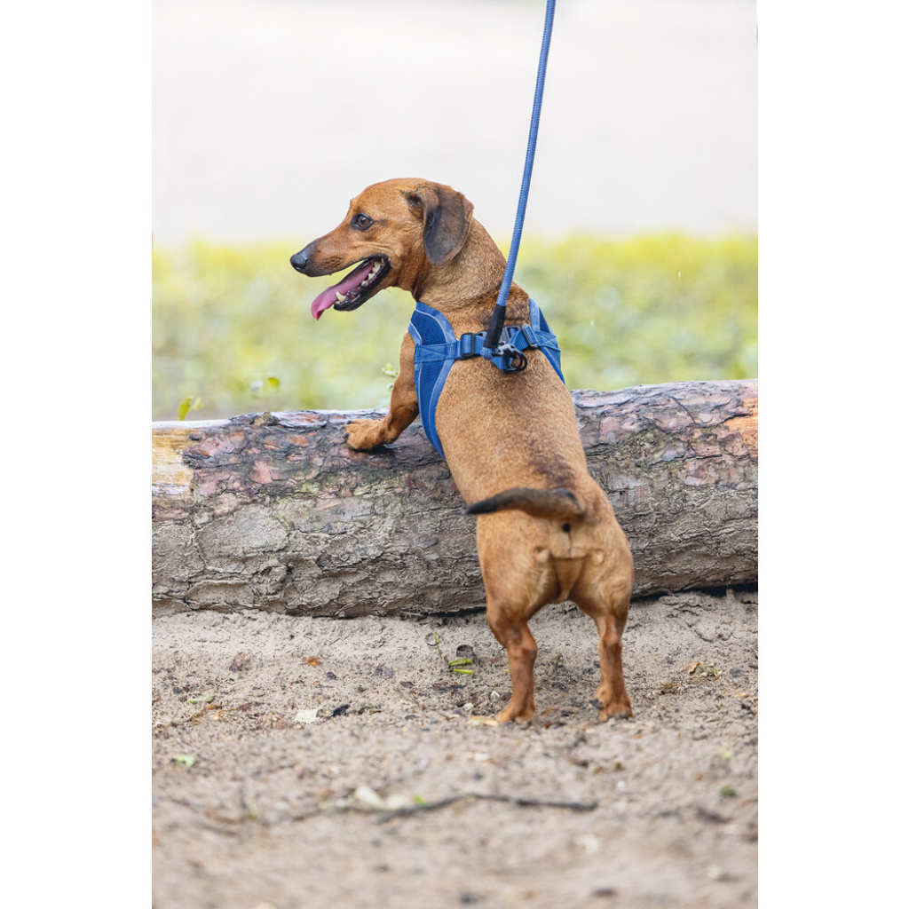 Beeztees Parinca Neopren Köpek Göğüs Tasması 30-35cm (Mavi)