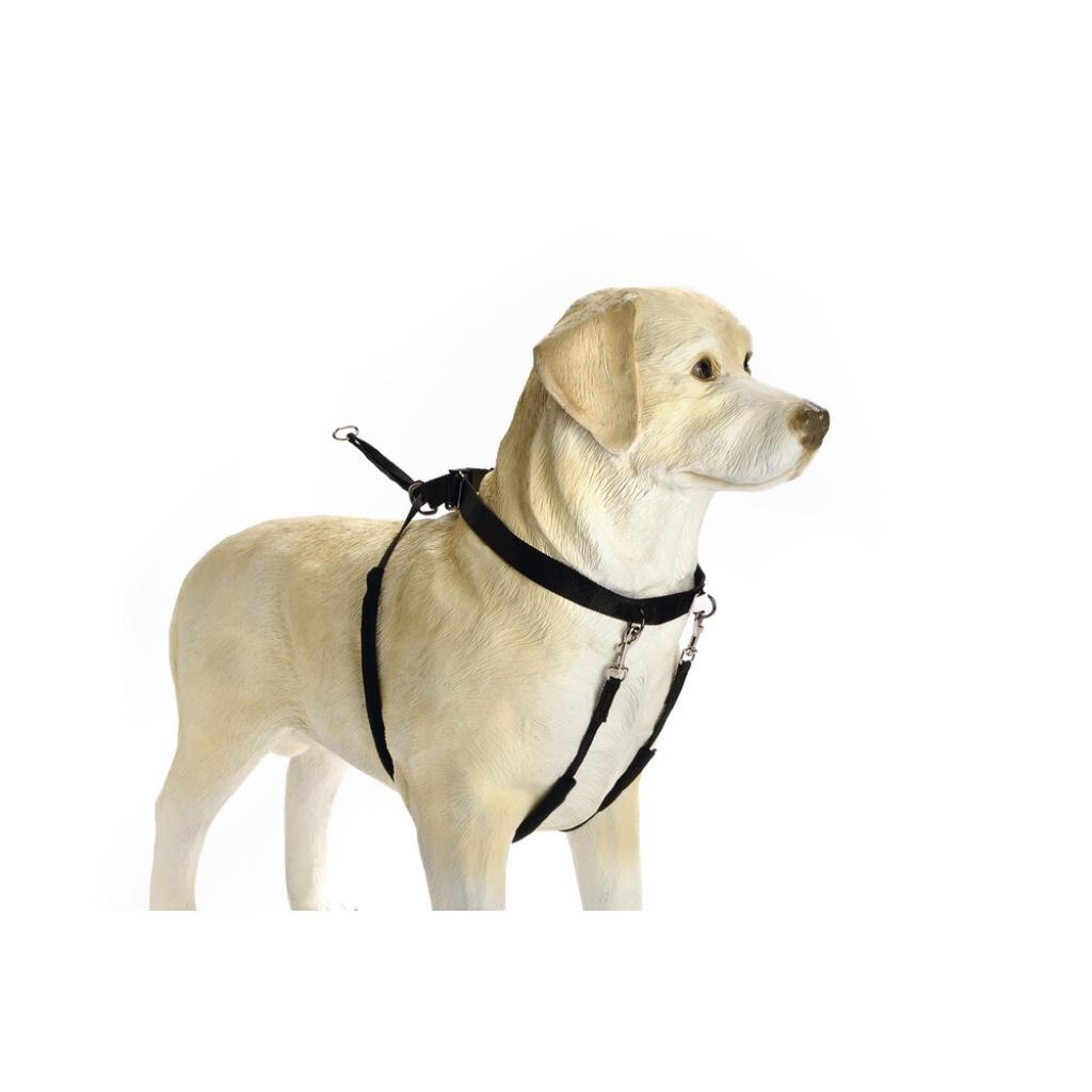 Beeztees Walker Köpek Yürüyüş Eğitim ve Düzeltme Tasması 84cm [XL]