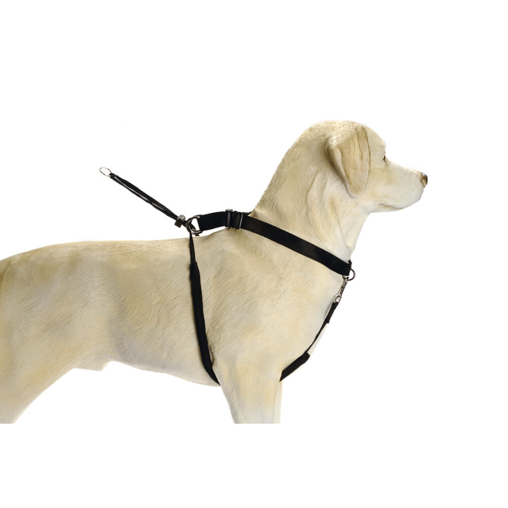 Beeztees Gentle Walker Köpek Yürüyüş Eğitim ve Düzeltme Tasması 80cm [L]