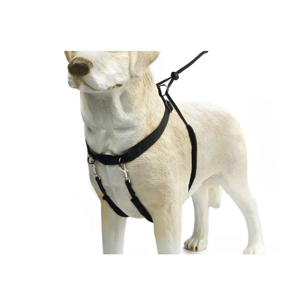Beeztees Gentle Walker Köpek Yürüyüş Eğitim ve Düzeltme Tasması 80cm [L]