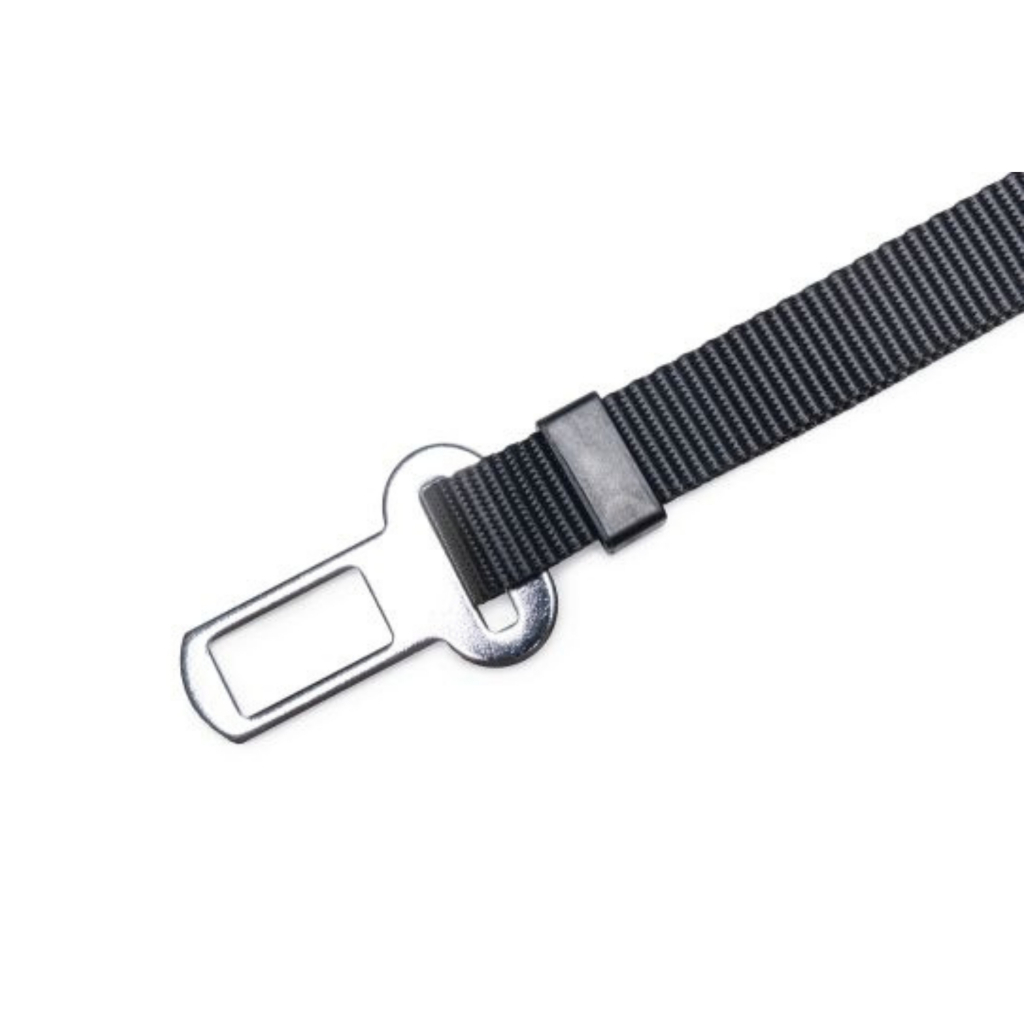 Beeztees Köpek Emniyet Kemeri (Siyah) [M]