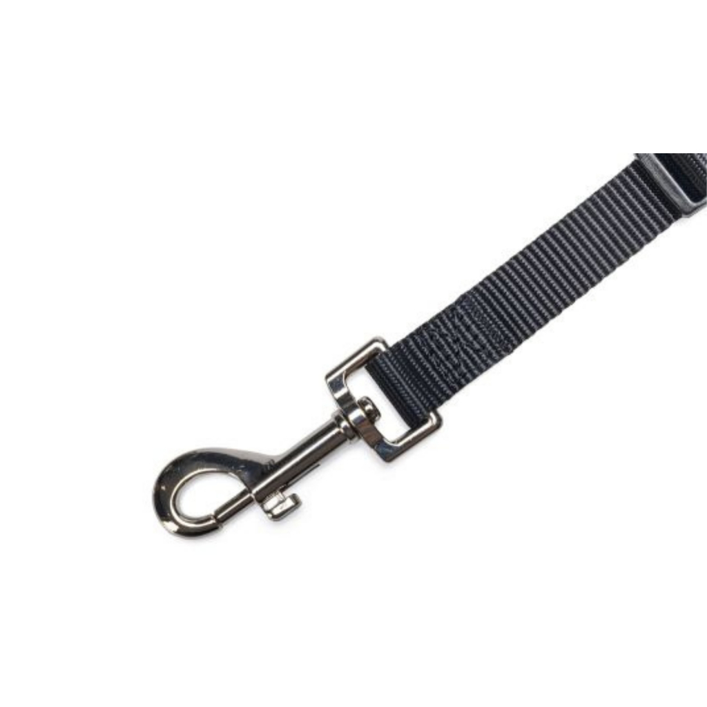 Beeztees Köpek Emniyet Kemeri (Siyah) [M]