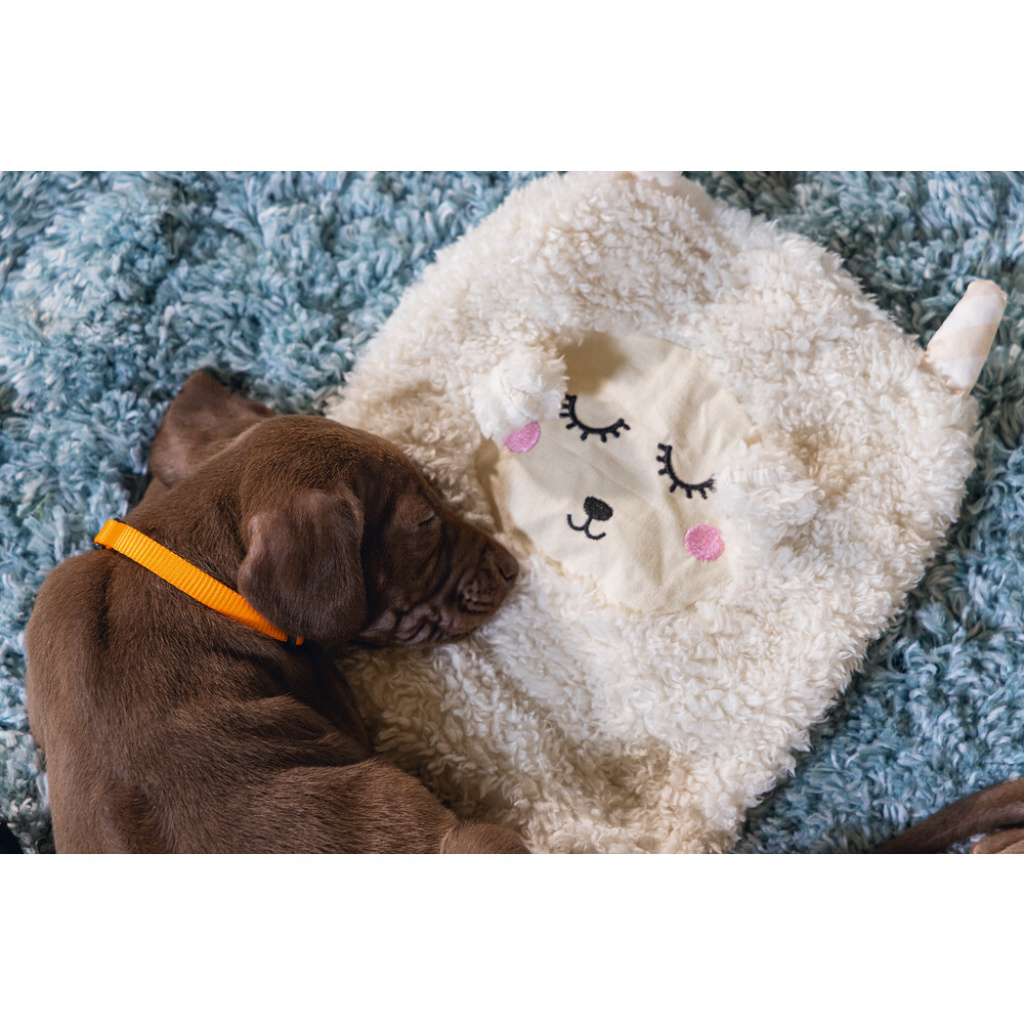 Beeztees Puppy Peluş Yavru Köpek Oyuncağı 40x22x5cm (Beyaz)
