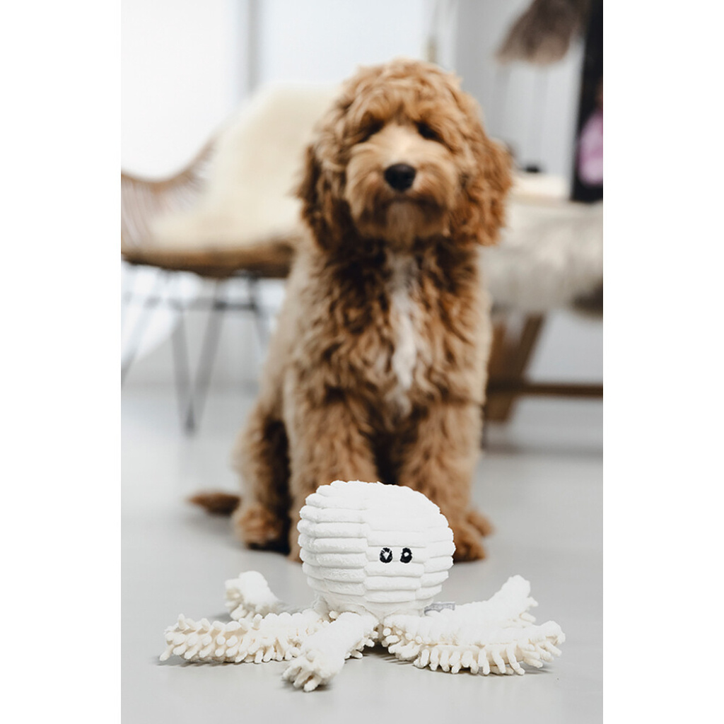 Beeztees Okki Peluş Ahtapot Köpek Oyuncağı 26x13x13cm (Beyaz)