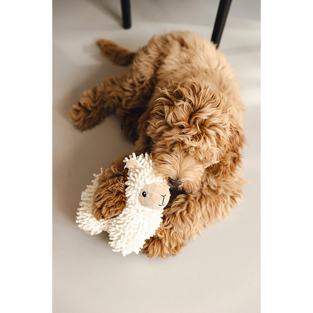 Beeztees Jovi Peluş Koyun Köpek Oyuncağı 26x6x21cm (Beyaz)
