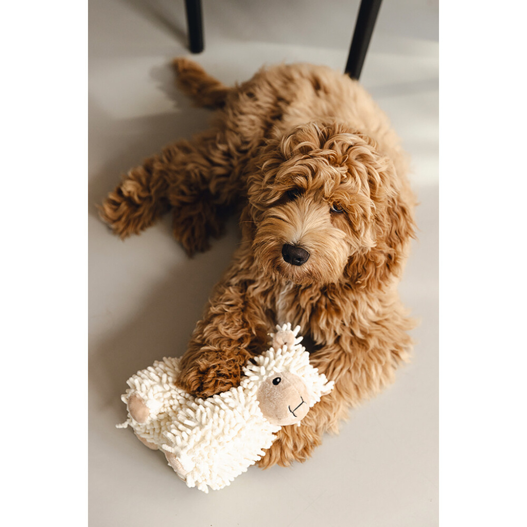 Beeztees Jovi Peluş Koyun Köpek Oyuncağı 26x6x21cm (Beyaz)