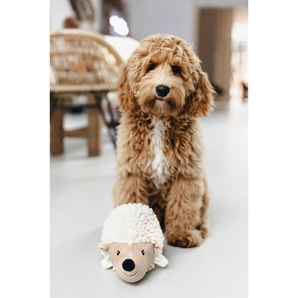 Beeztees Ittie Peluş Kirpi Köpek Oyuncağı 26x14x15cm (Beyaz)