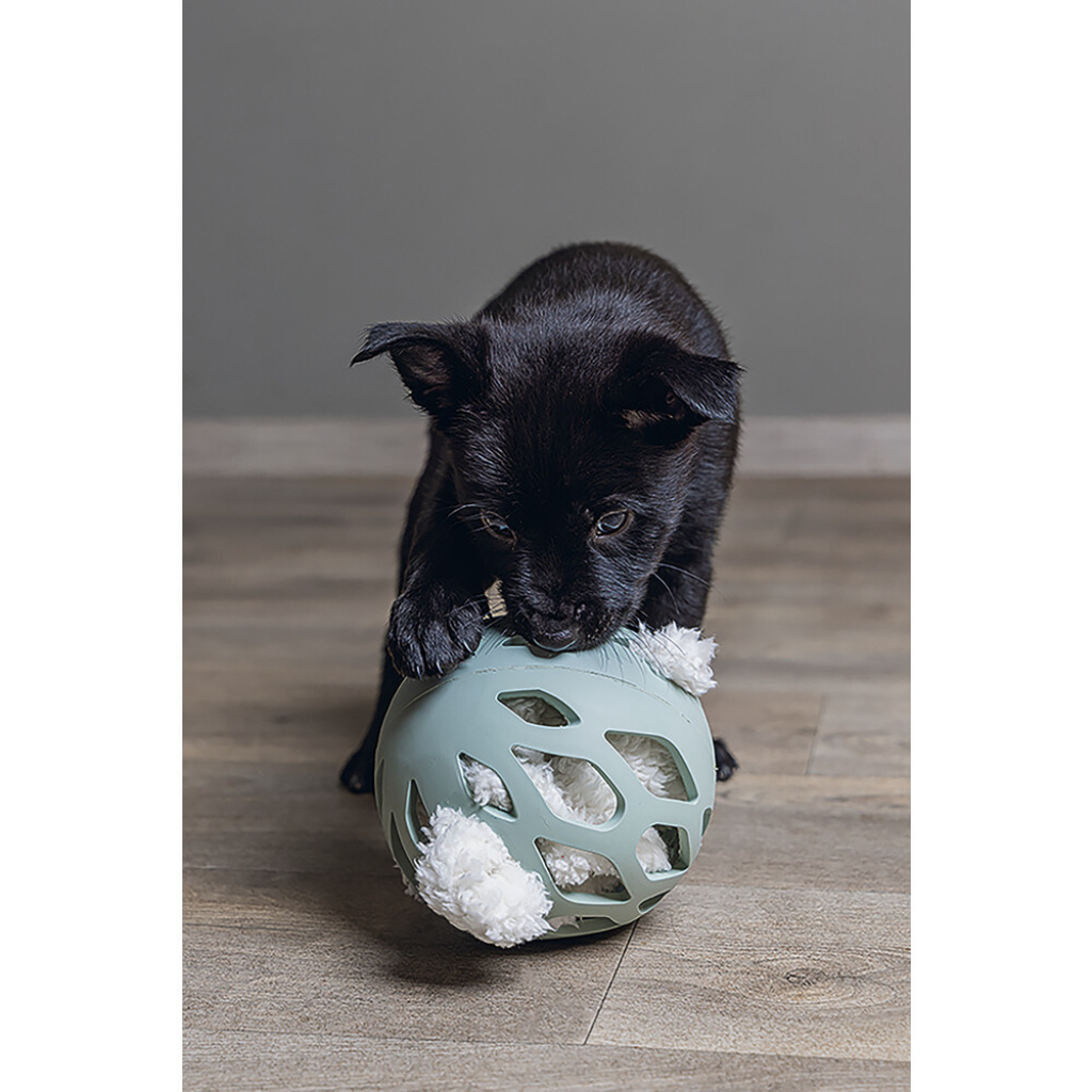 Beeztees Ninjo Peluş Tavşan Yavru Köpek Oyuncağı 40x22x5cm (Beyaz)