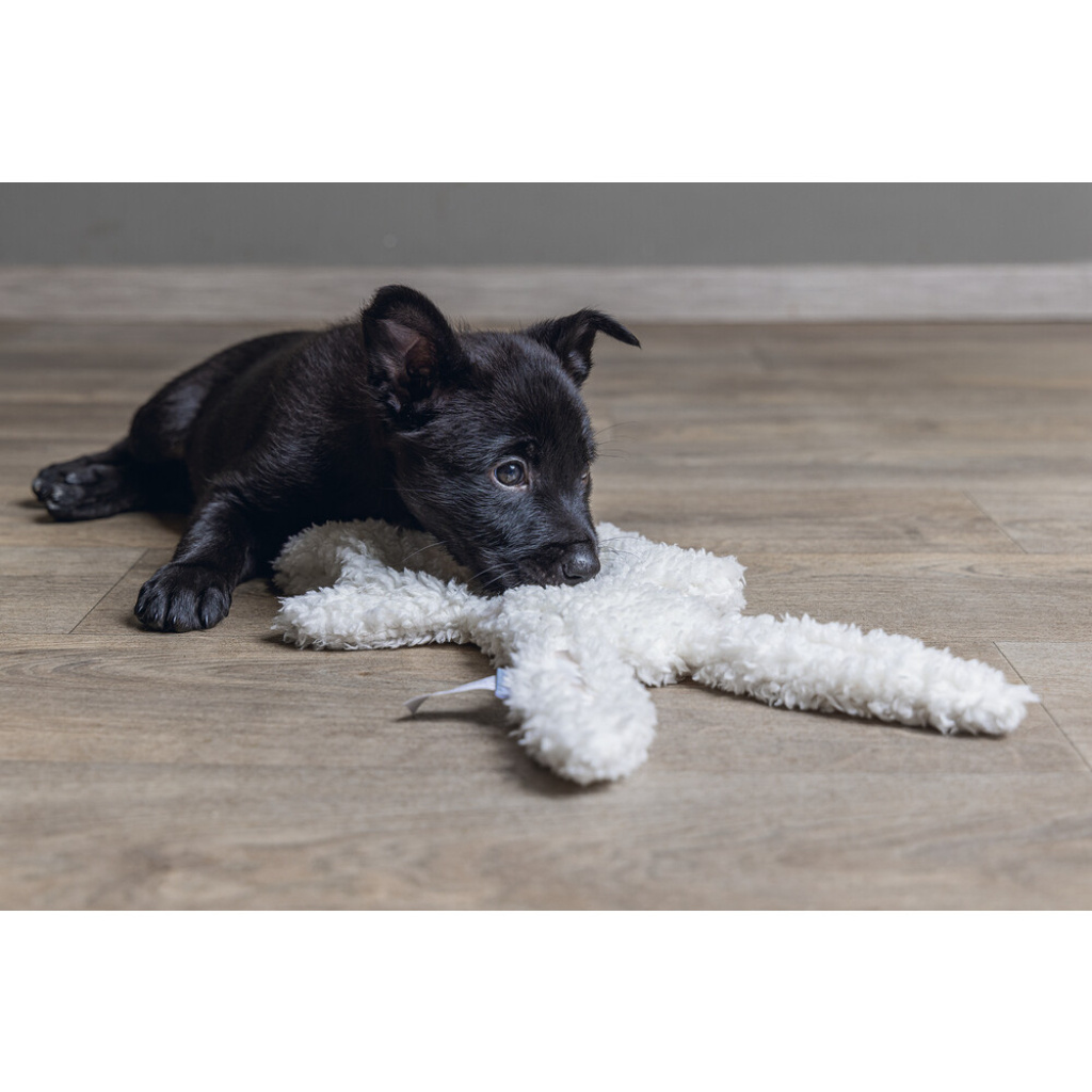 Beeztees Ninjo Peluş Tavşan Yavru Köpek Oyuncağı 40x22x5cm (Beyaz)