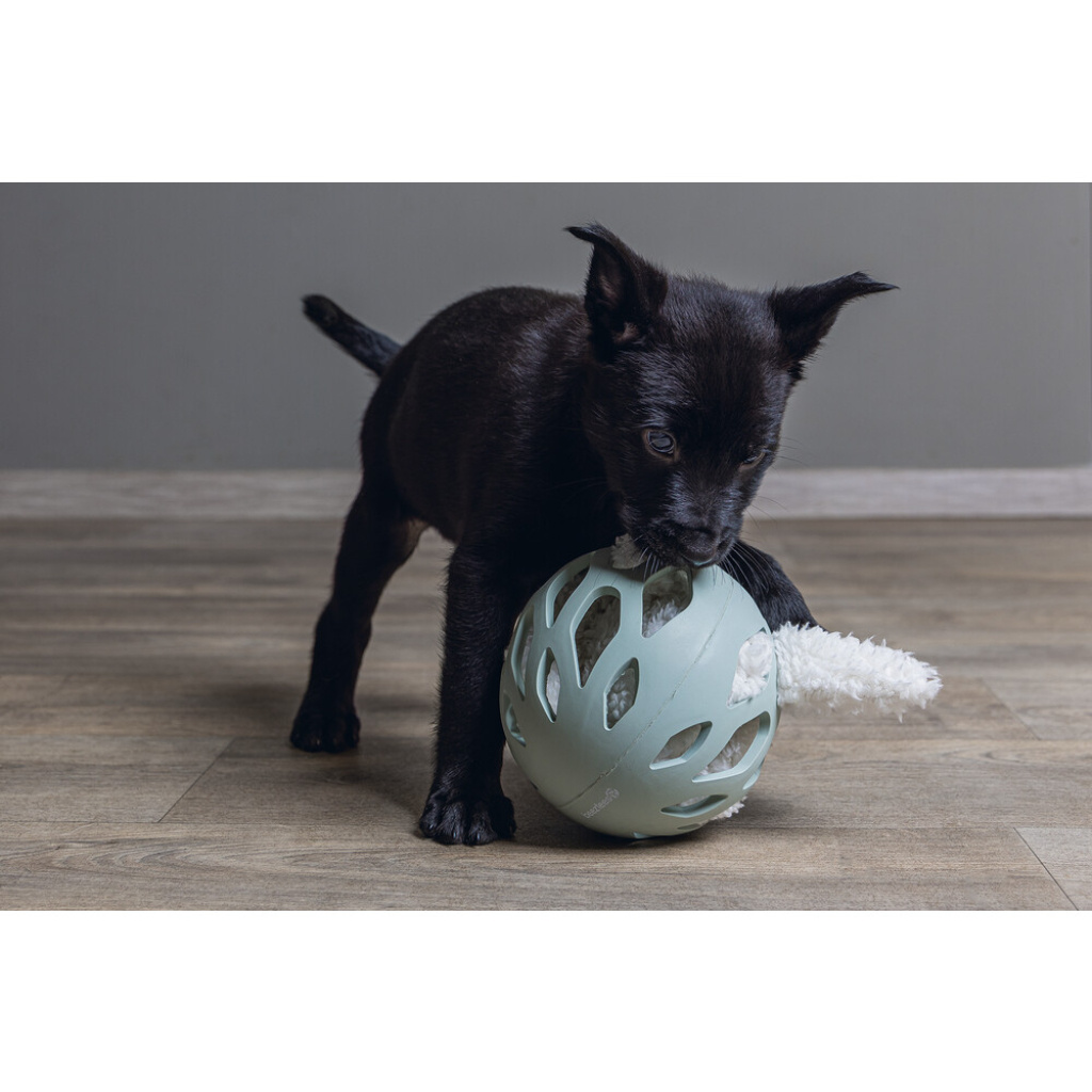 Beeztees Ninjo Peluş Tavşan Yavru Köpek Oyuncağı 40x22x5cm (Beyaz)