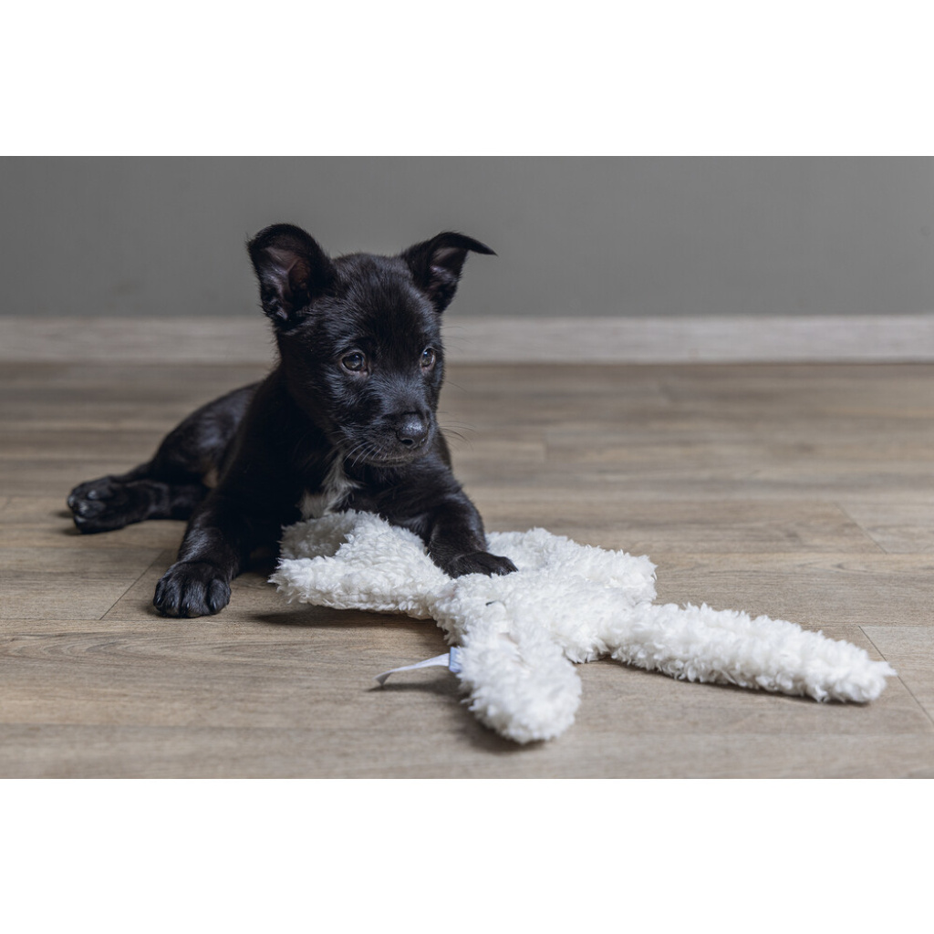 Beeztees Ninjo Peluş Tavşan Yavru Köpek Oyuncağı 40x22x5cm (Beyaz)