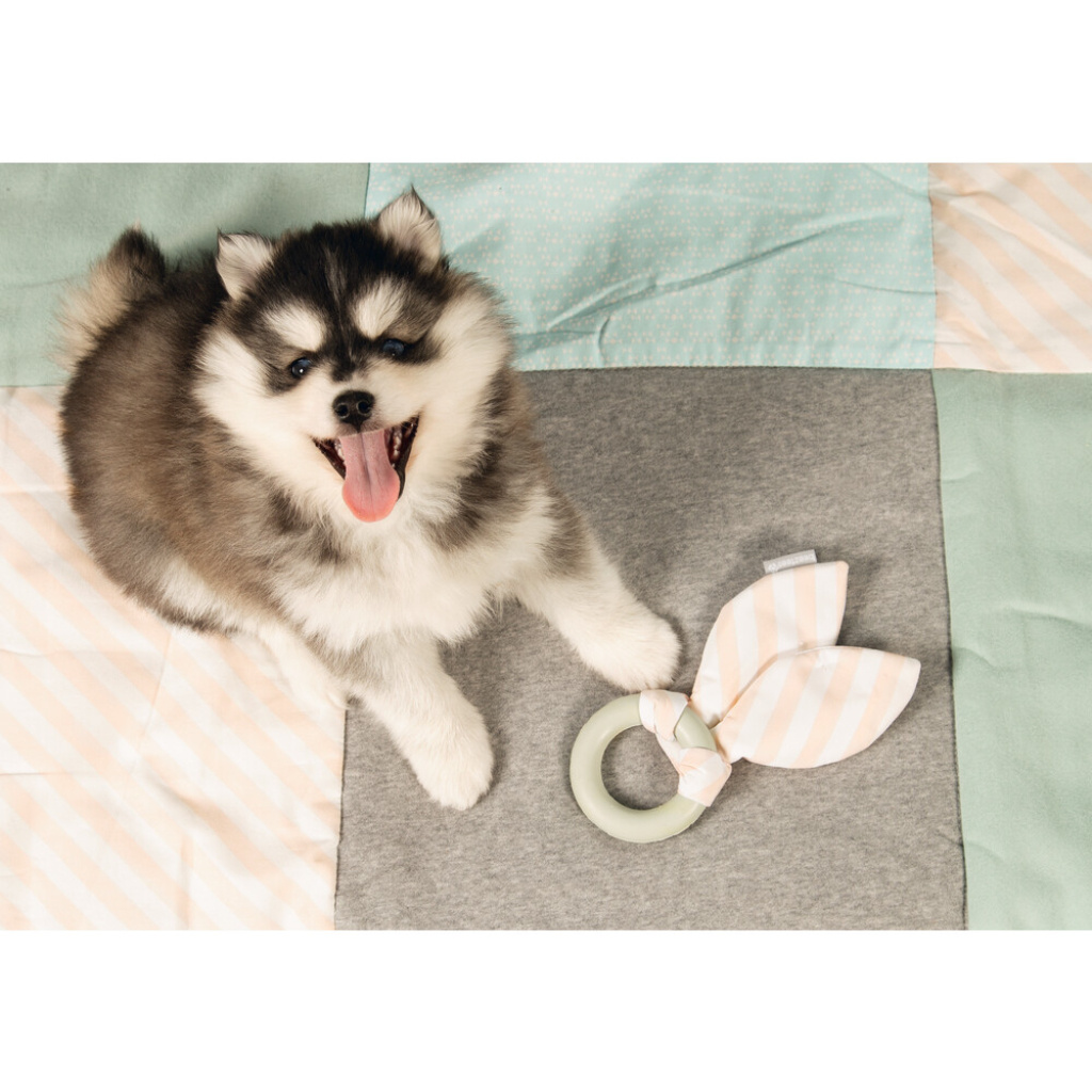 Beeztees Kauçuk Kumaş Yavru Köpek Diş Oyuncağı 22x8,5x2cm (Yeşil)