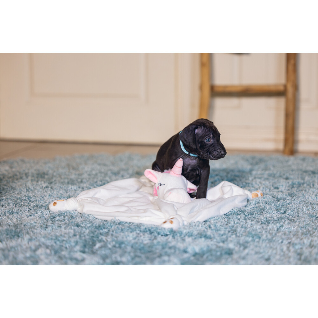 Beeztees Peluş Unicorn Yavru Köpek Oyuncağı 33x25x14cm (Beyaz)
