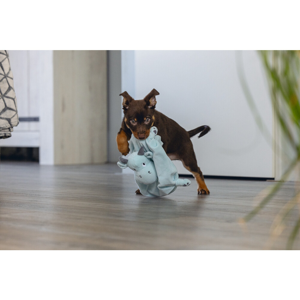Beeztees Dragon Peluş Yavru Köpek Oyuncağı 31,5x25x17cm (Yeşil)
