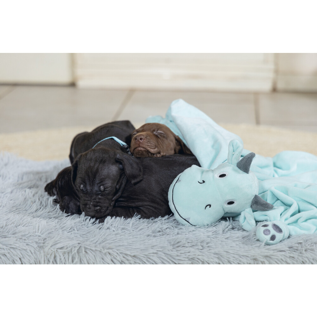 Beeztees Dragon Peluş Yavru Köpek Oyuncağı 31,5x25x17cm (Yeşil)