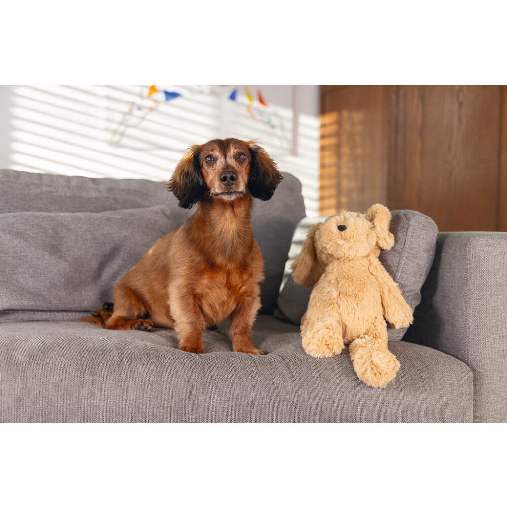 Beeztees Vajen Peluş Köpek Oyuncağı 41x15x13cm (Kahverengi)
