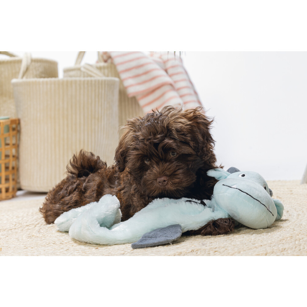 Beeztees Flatino Peluş Ejderha Yavru Köpek Oyuncağı 70x16x10cm (Gri)