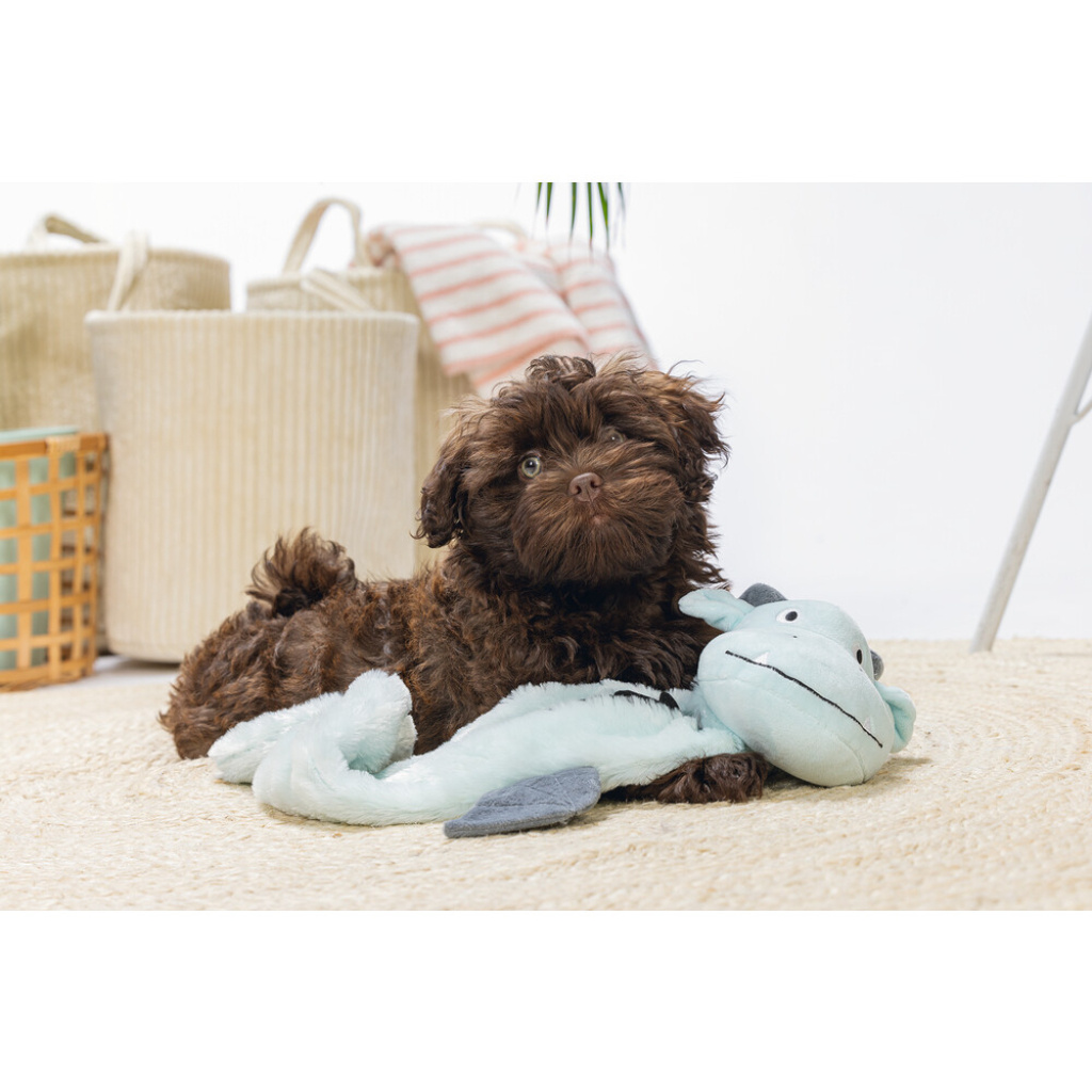 Beeztees Flatino Peluş Ejderha Yavru Köpek Oyuncağı 70x16x10cm (Gri)