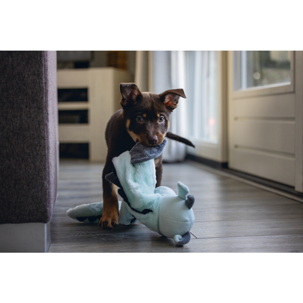Beeztees Flatino Peluş Ejderha Yavru Köpek Oyuncağı 70x16x10cm (Gri)