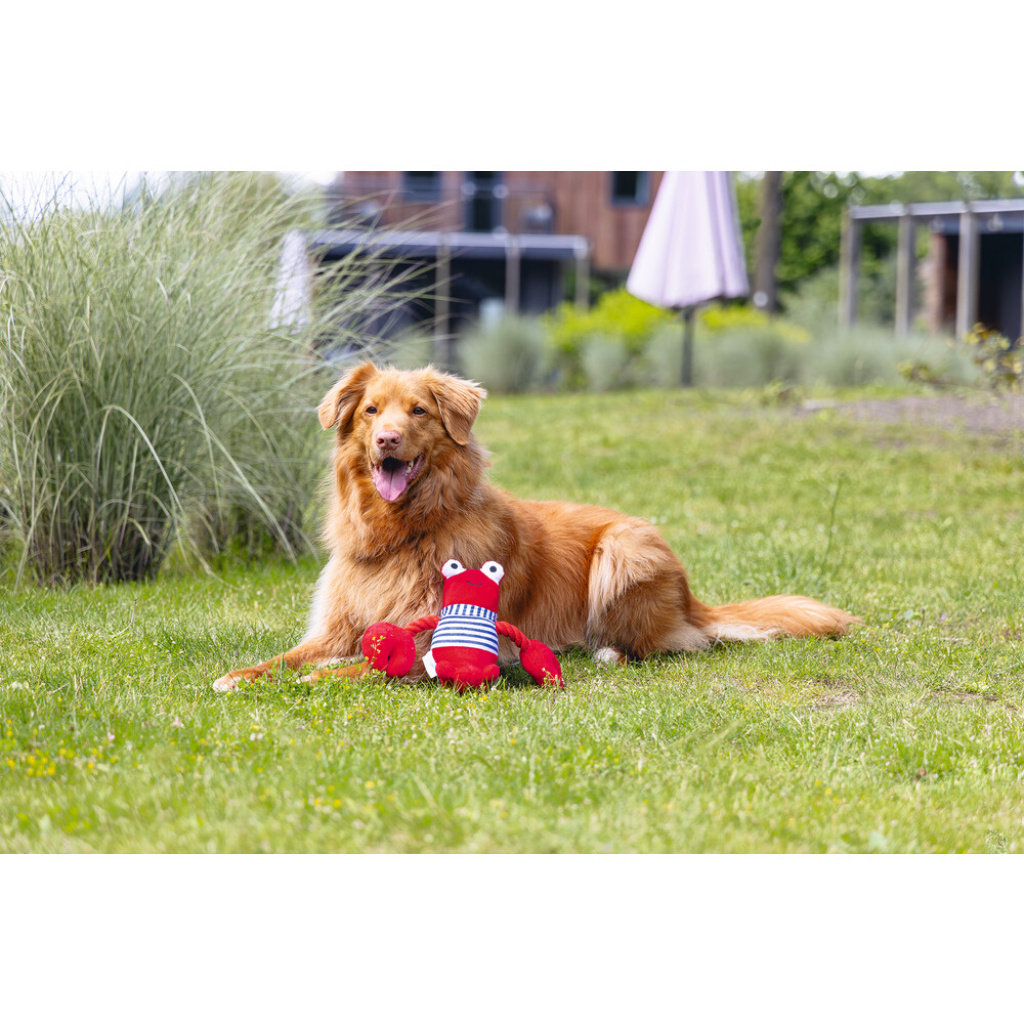 Beeztees Frits Peluş Istakoz Köpek Oyuncağı 24x38x13cm (Kırmızı)