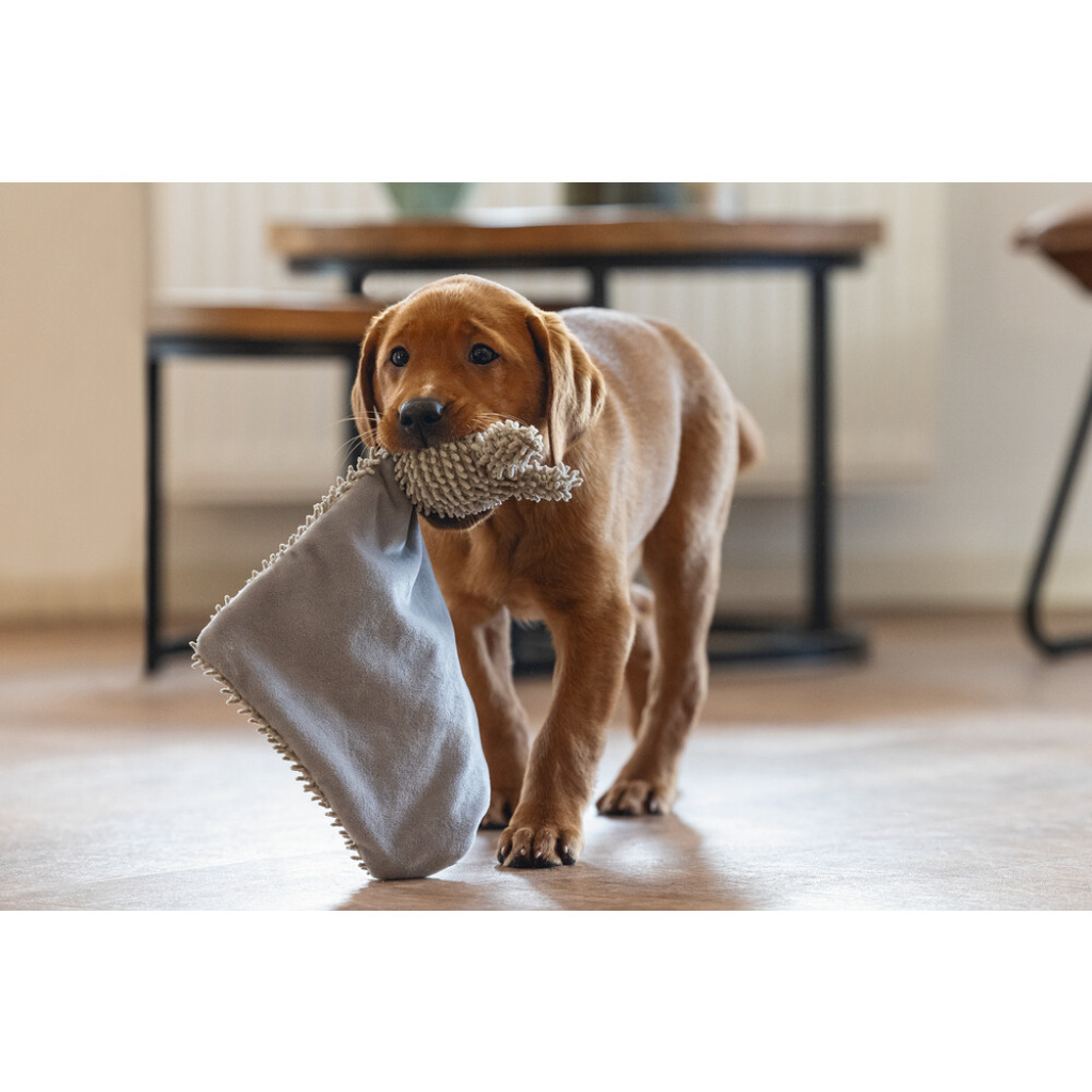 Beeztees Peluş Koyun Yavru Köpek Oyuncağı 37x28x4cm (Gri)