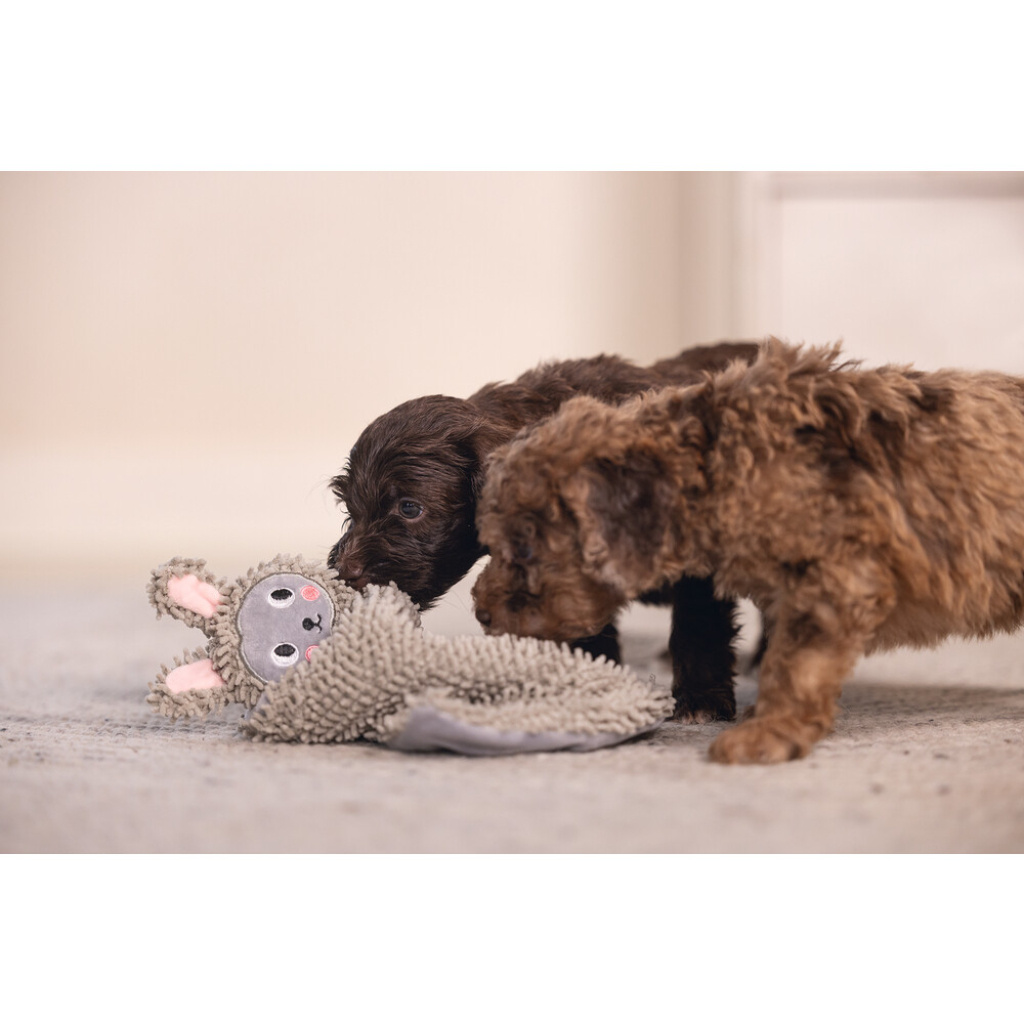 Beeztees Peluş Koyun Yavru Köpek Oyuncağı 37x28x4cm (Gri)