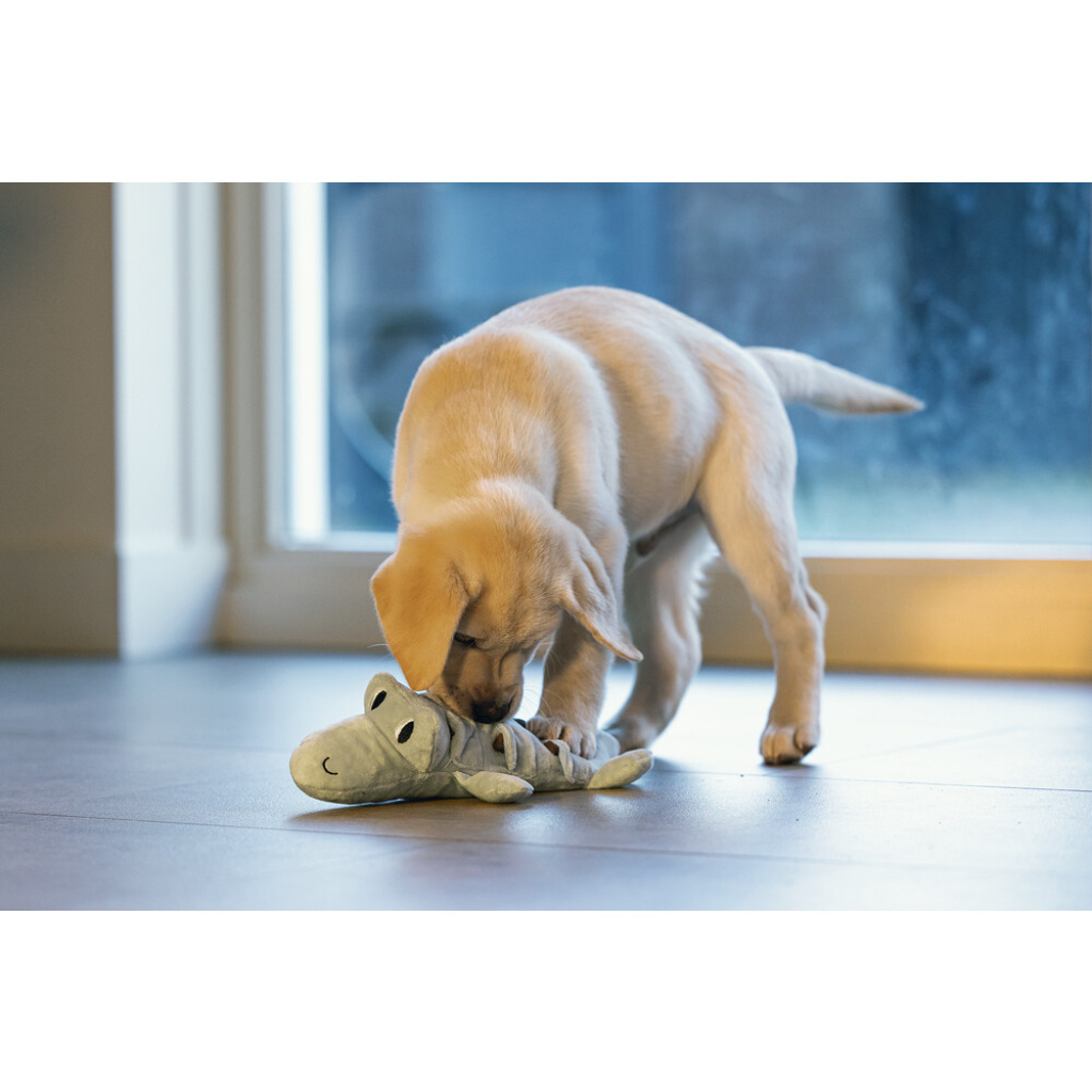 Beeztees Peluş Krokodil Yavru Köpek Oyuncağı 32x18x8cm (Yeşil)