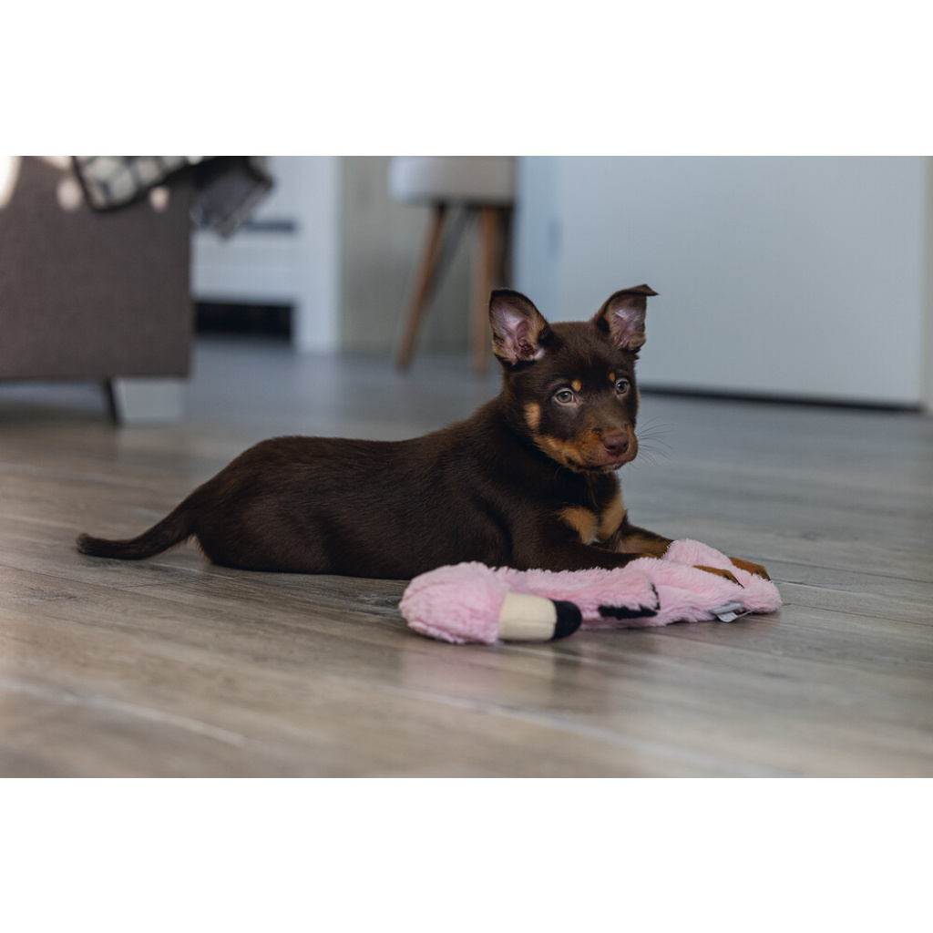 Beeztees Peluş Flamingo Yavru Köpek Oyuncağı 43x24x4cm (Pembe)