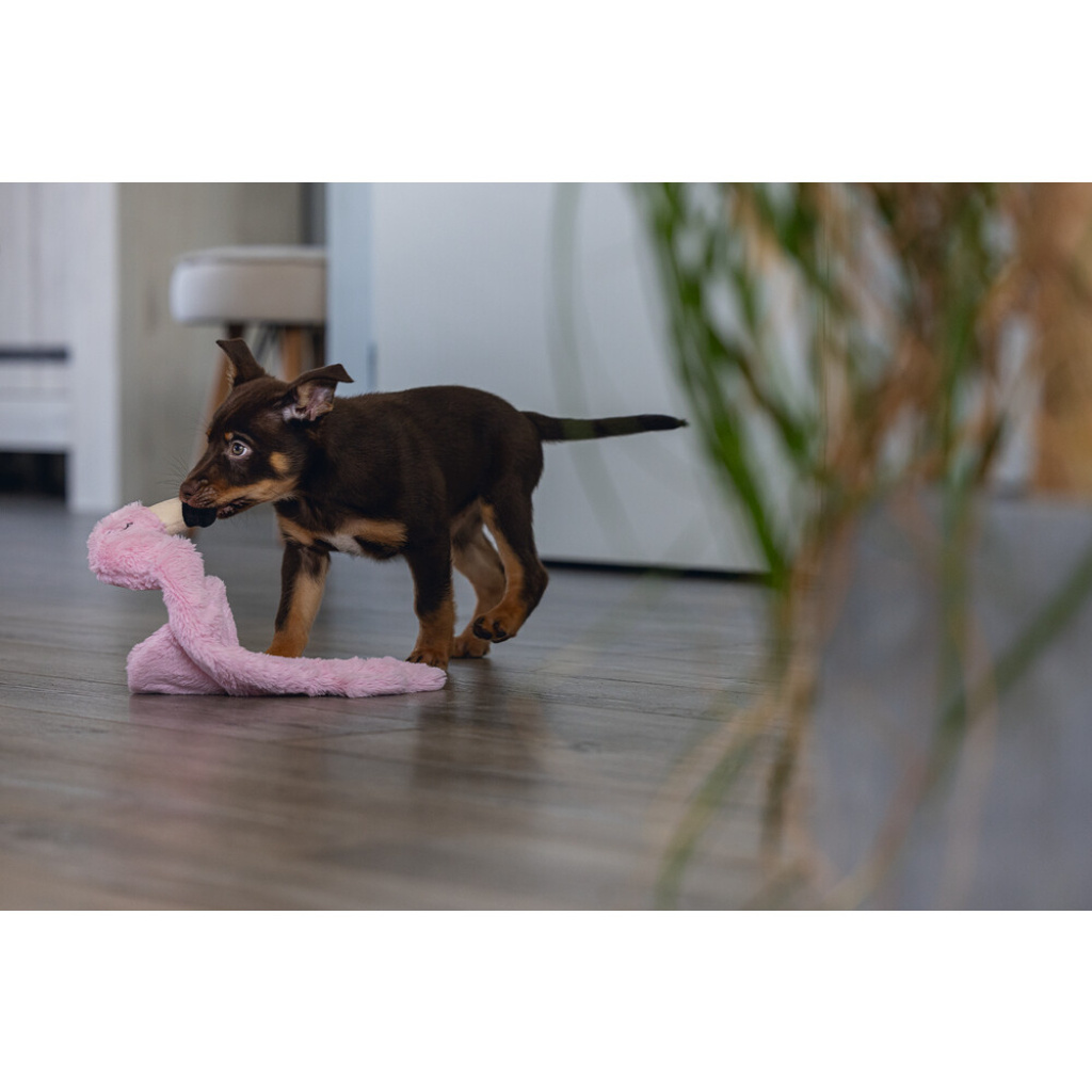 Beeztees Peluş Flamingo Yavru Köpek Oyuncağı 43x24x4cm (Pembe)