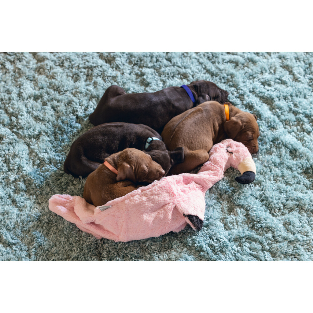 Beeztees Peluş Flamingo Yavru Köpek Oyuncağı 43x24x4cm (Pembe)