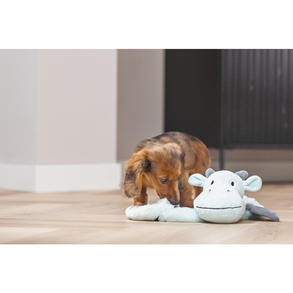 Beeztees Peluş Ejderha Yavru Köpek Oyuncağı 45x24,5x6cm (Gri)