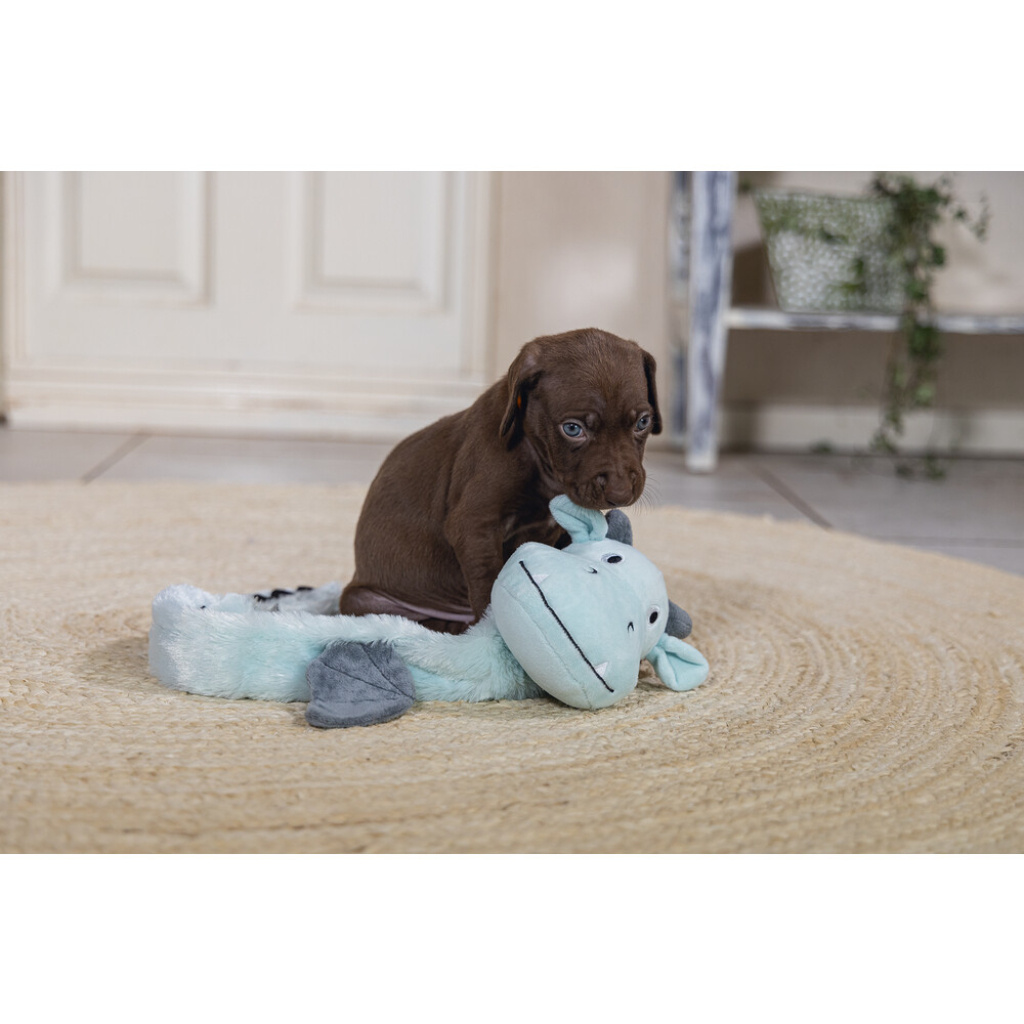 Beeztees Peluş Ejderha Yavru Köpek Oyuncağı 45x24,5x6cm (Gri)