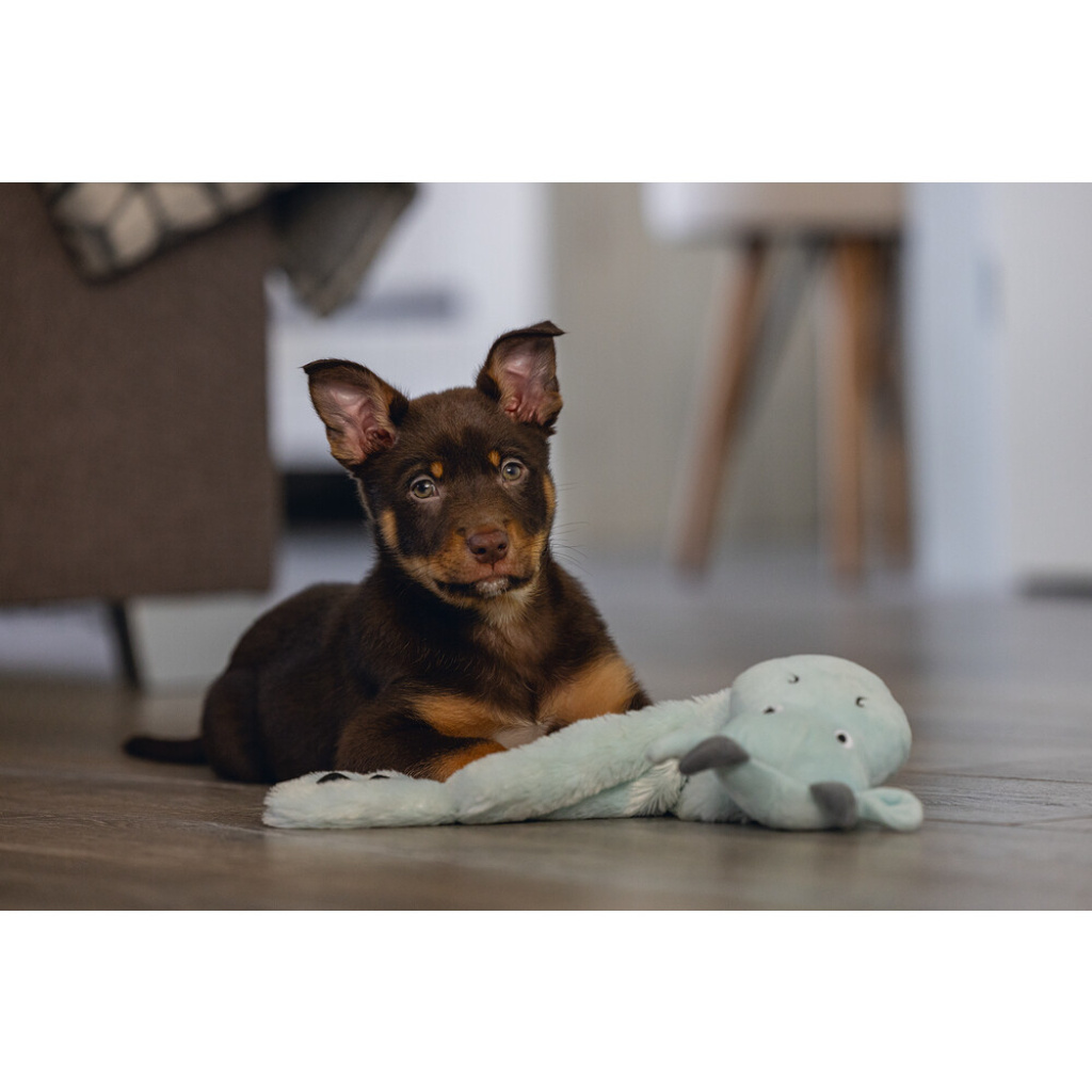 Beeztees Peluş Ejderha Yavru Köpek Oyuncağı 45x24,5x6cm (Gri)