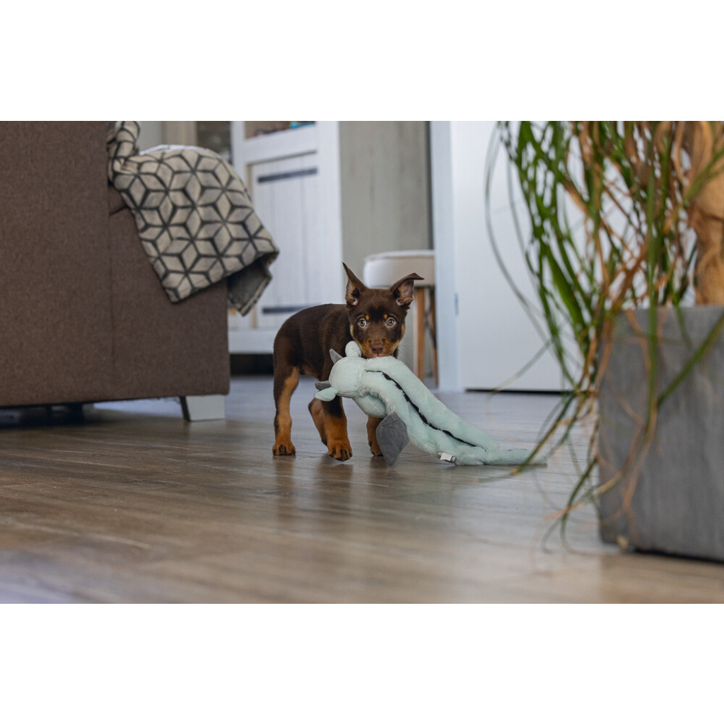 Beeztees Peluş Ejderha Yavru Köpek Oyuncağı 45x24,5x6cm (Gri)