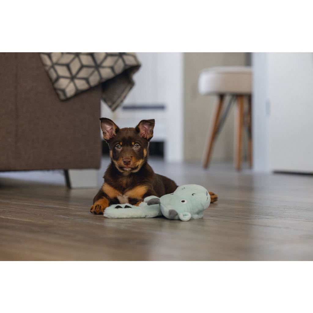 Beeztees Peluş Ejderha Yavru Köpek Oyuncağı 45x24,5x6cm (Gri)