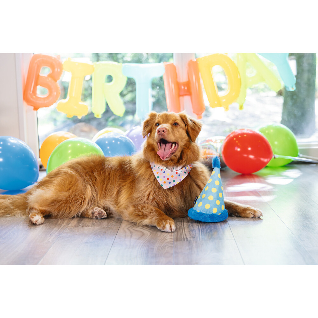 Beeztees Peluş Şapka Köpek Oyuncağı 22x14x14cm (Mavi)