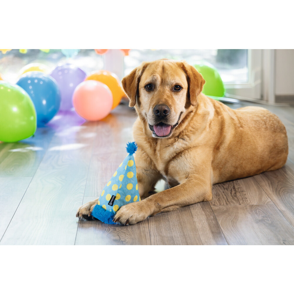Beeztees Peluş Şapka Köpek Oyuncağı 22x14x14cm (Mavi)