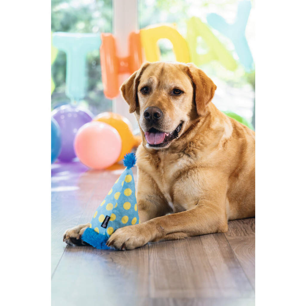 Beeztees Peluş Şapka Köpek Oyuncağı 22x14x14cm (Mavi)
