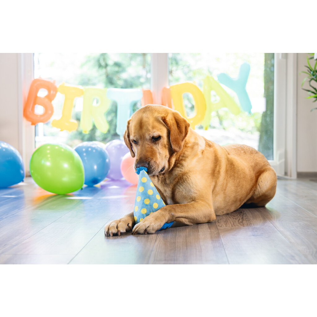 Beeztees Peluş Şapka Köpek Oyuncağı 22x14x14cm (Mavi)