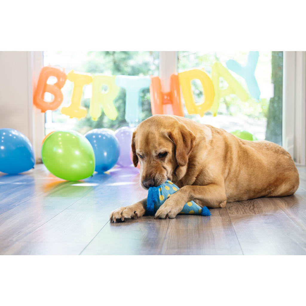 Beeztees Peluş Şapka Köpek Oyuncağı 22x14x14cm (Mavi)