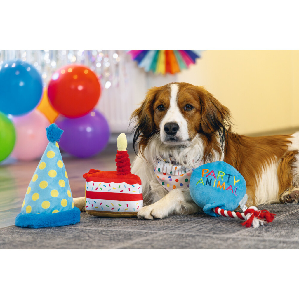 Beeztees Peluş Şapka Köpek Oyuncağı 22x14x14cm (Mavi)