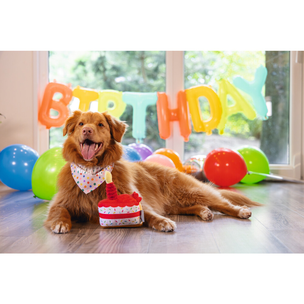 Beeztees Peluş Pasta Dilimi Köpek Oyuncağı 19x14x11cm