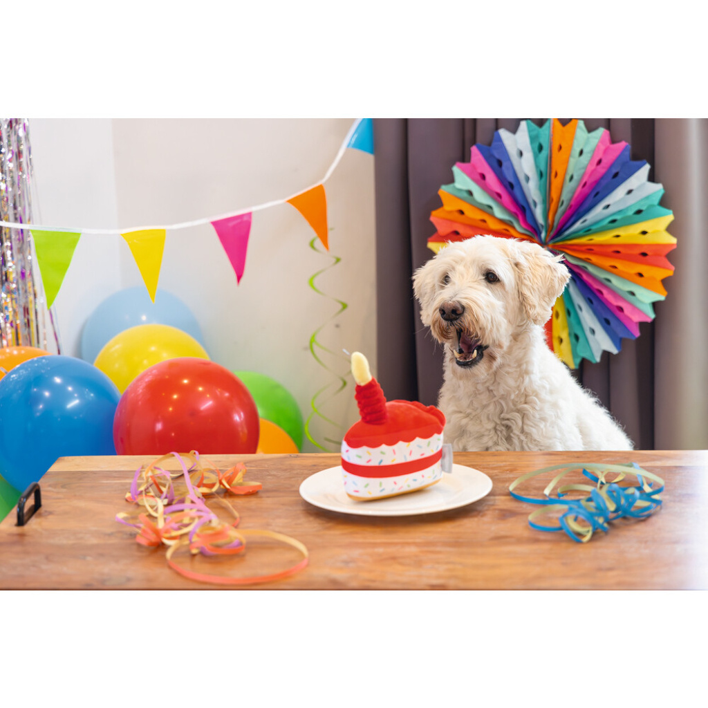 Beeztees Peluş Pasta Dilimi Köpek Oyuncağı 19x14x11cm